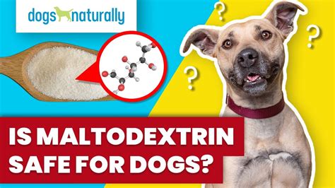 is maltodextrin good for dogs.